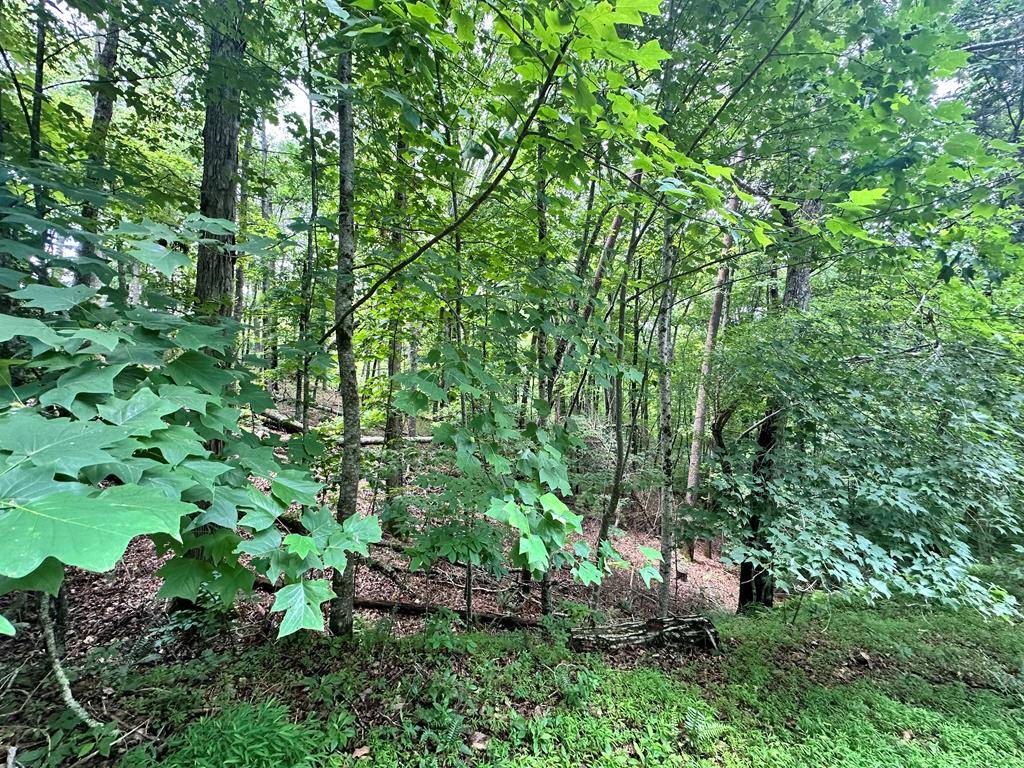 Blue Ridge, GA 30513,Lot 4 Browns Cove Road