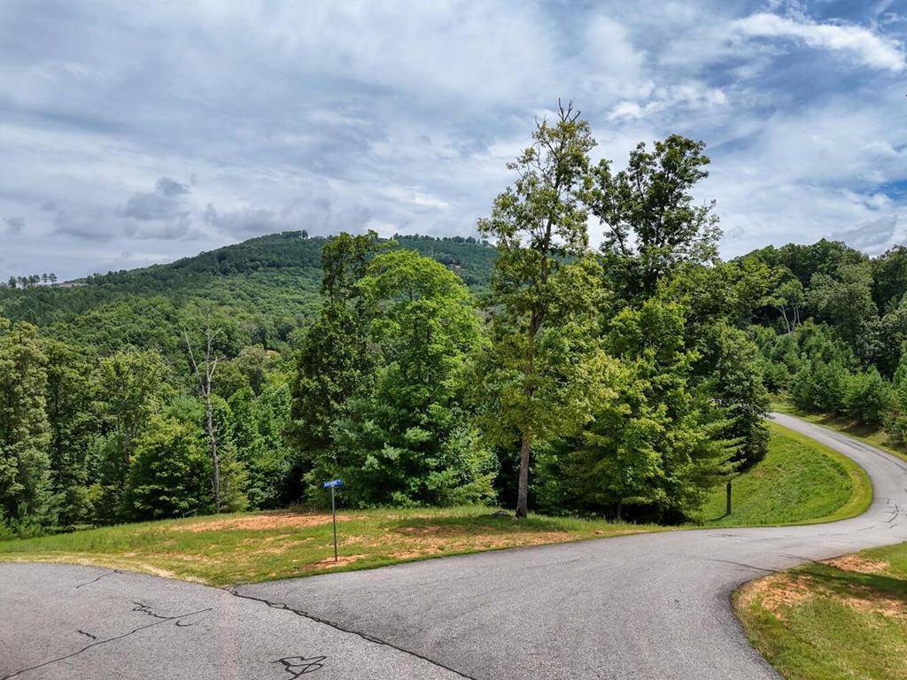 Blairsville, GA 30512,Lot 118 Riverside On Lake Nottely