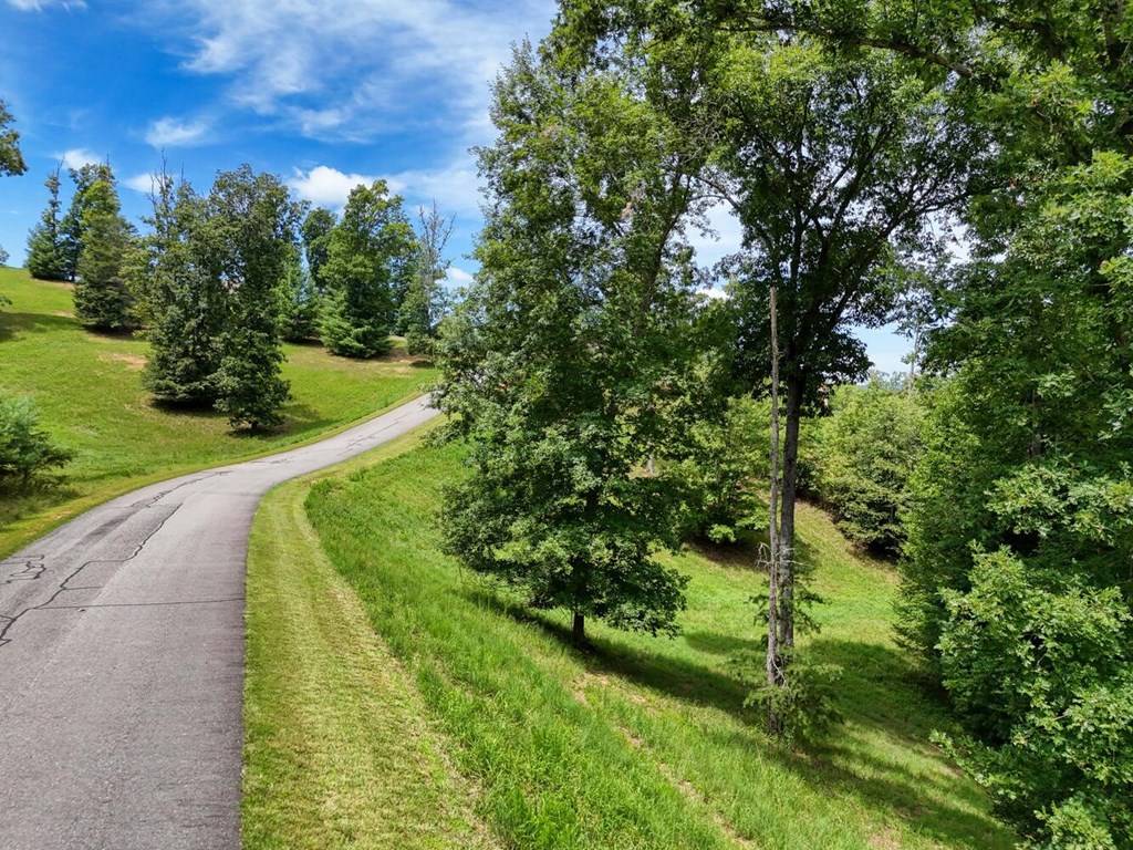 Blairsville, GA 30512,Lot 118 Riverside On Lake Nottely