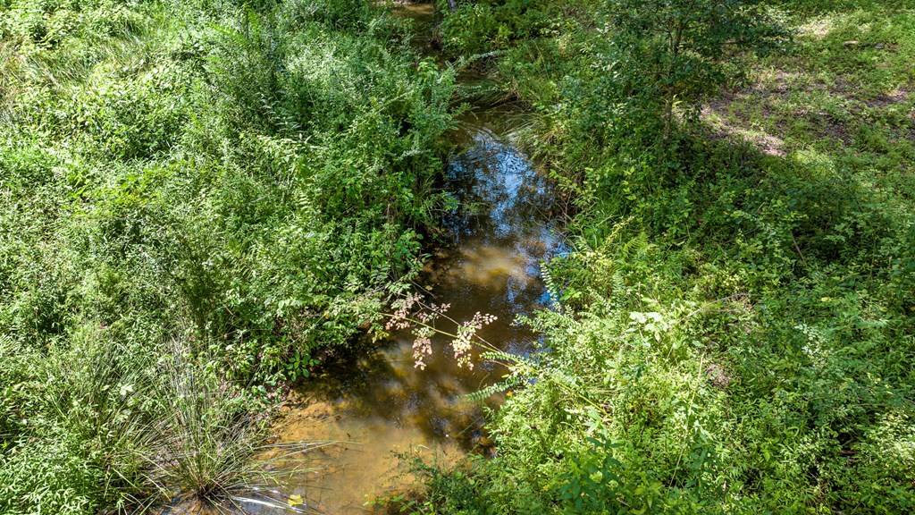 Mineral Bluff, GA 30559,Lot 2 Waterstone