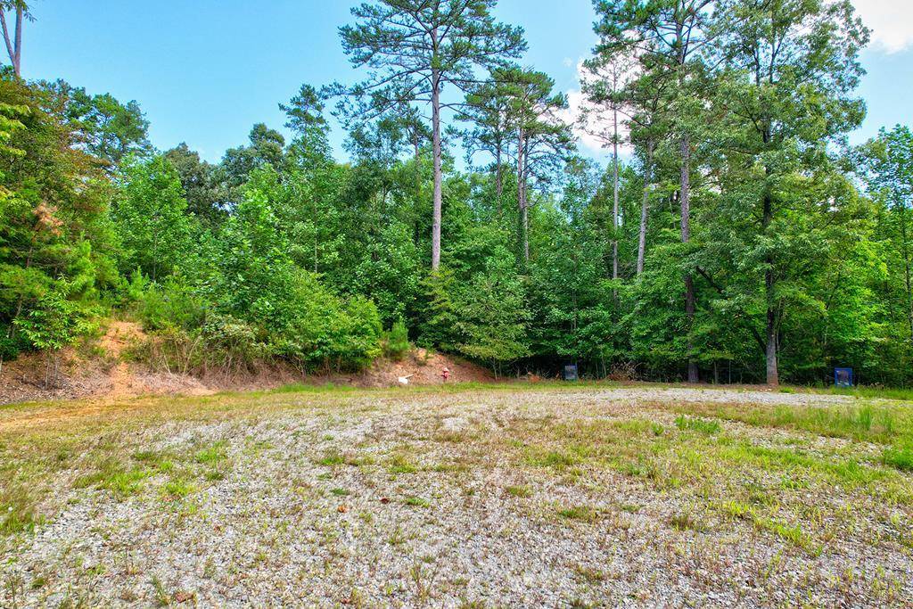 Blue Ridge, GA 30513,Lot 73 River Ridge