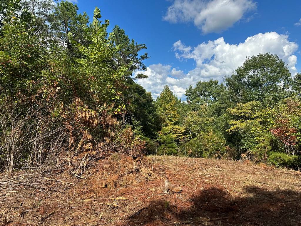 Warne, NC 28909,Lot 37 Wildflower Ridge