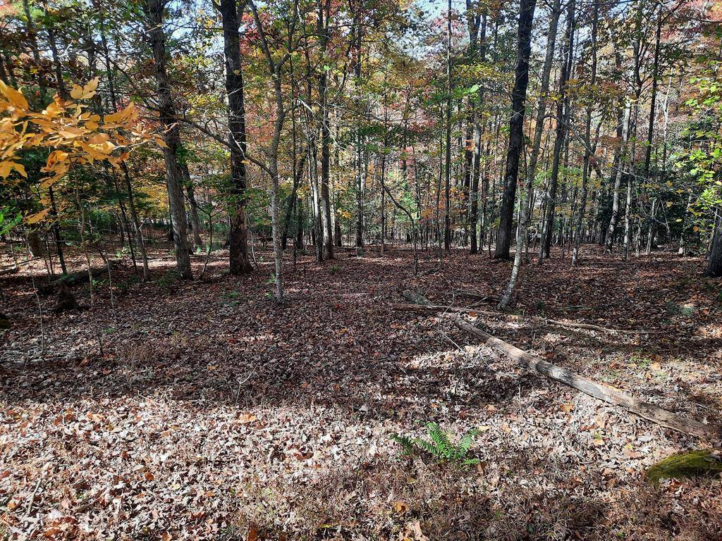 Blairsville, GA 30512,Lot 33 V Addington Road