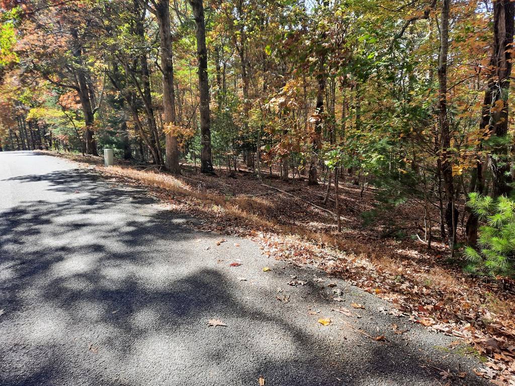 Blairsville, GA 30512,Lot 33 V Addington Road