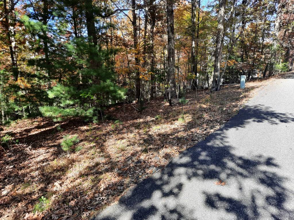 Blairsville, GA 30512,Lot 33 V Addington Road