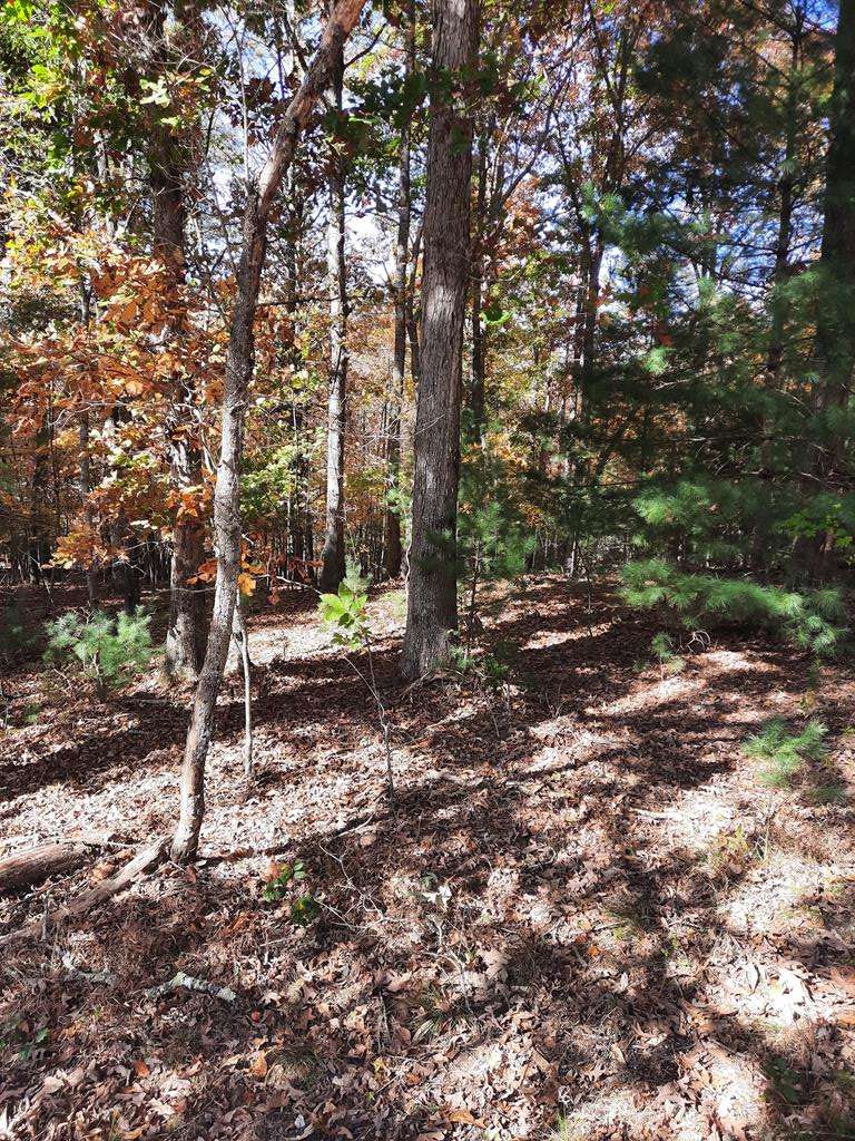 Blairsville, GA 30512,Lot 33 V Addington Road