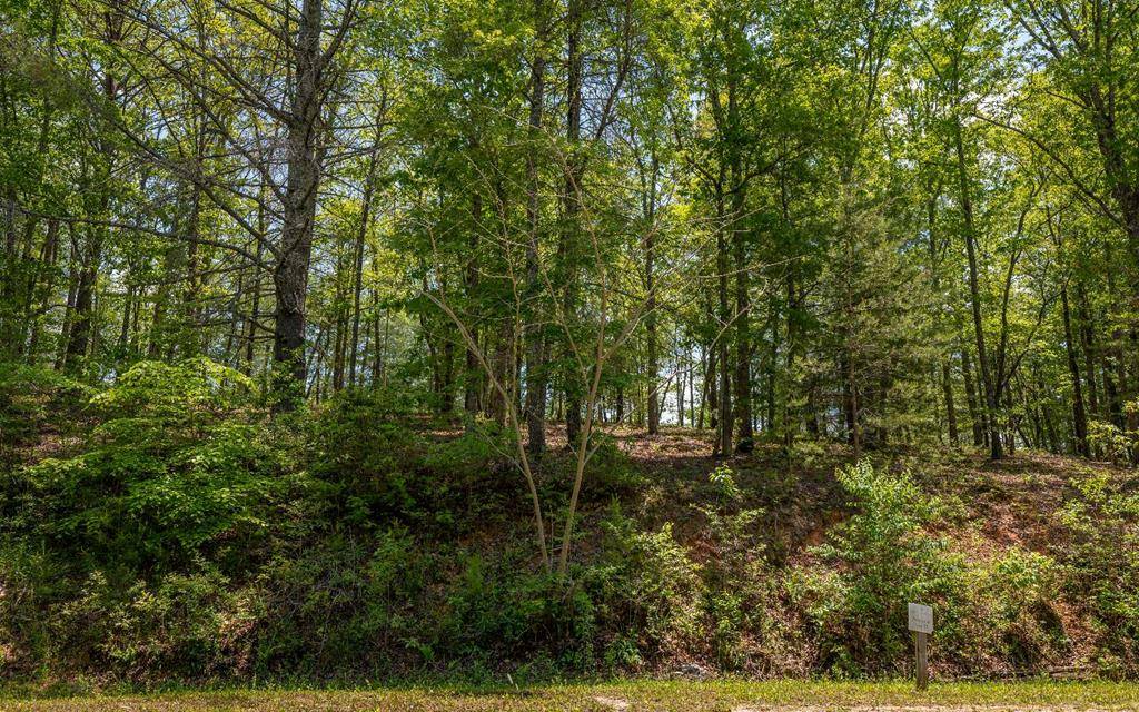 Mineral Bluff, GA 30559,Lot 59 Old Toccoa Loop