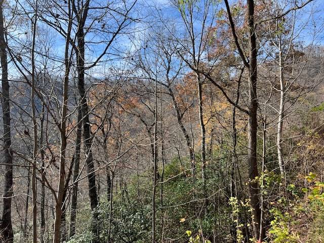 Hiawassee, GA 30546,Lot 19 The Highlands