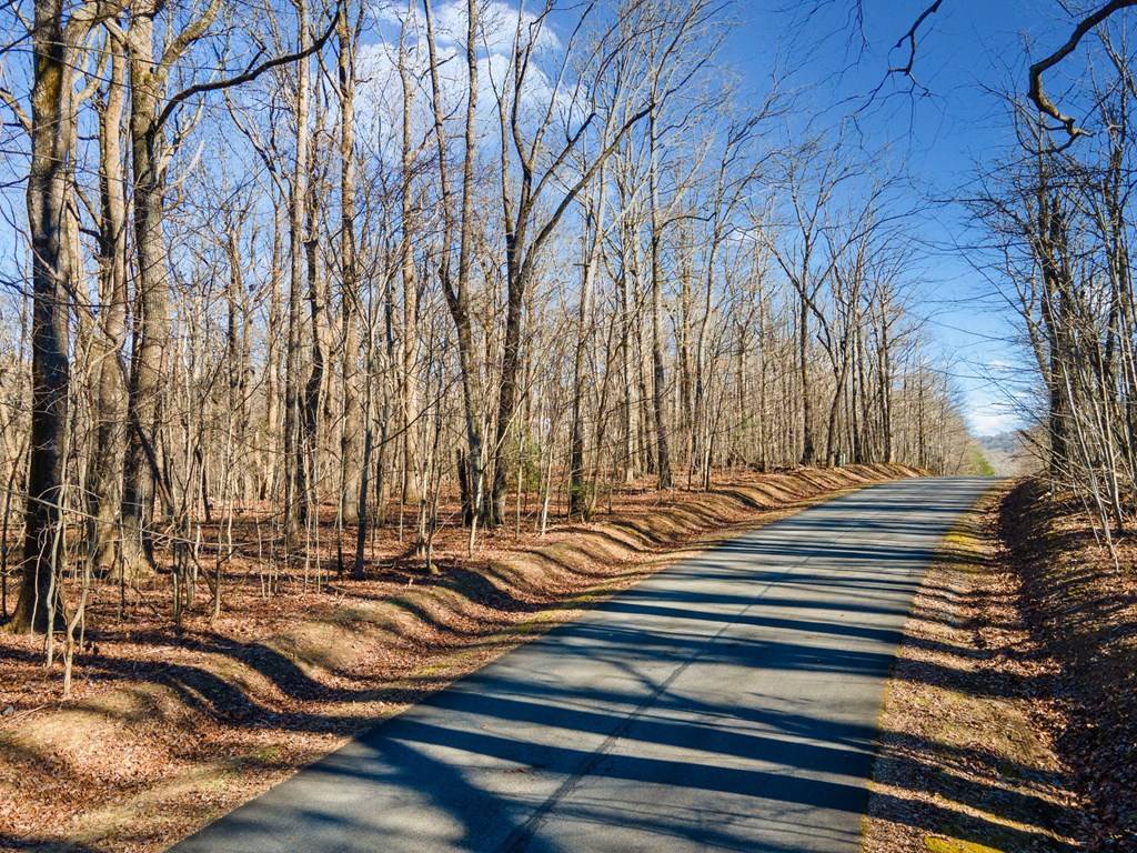 Ellijay, GA 30536,0 St Andrews Way