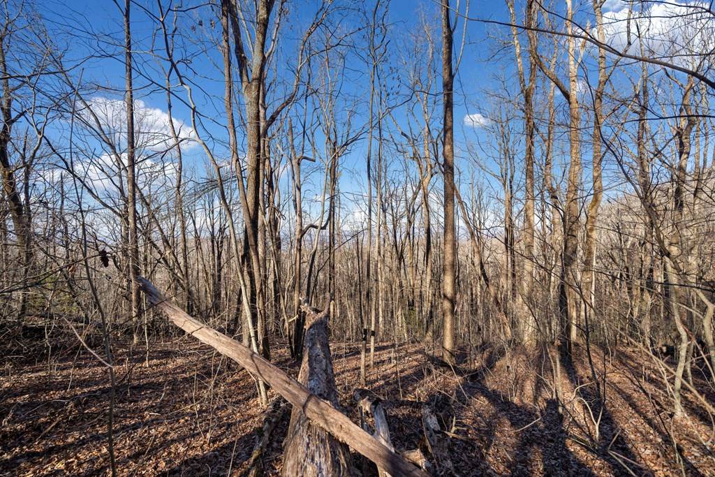 Ellijay, GA 30536,0 St Andrews Way