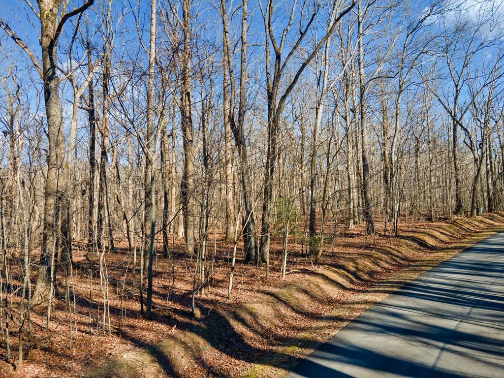 Ellijay, GA 30536,0 St Andrews Way