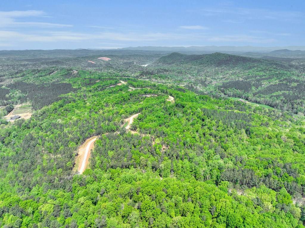 Talking Rock, GA 30175,134 Lookout Valley Trail