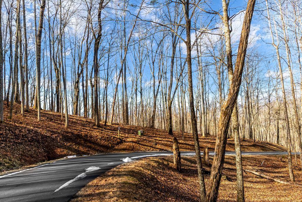 Hiawassee, GA 30546,Lot 6 Rocky Knob Drive