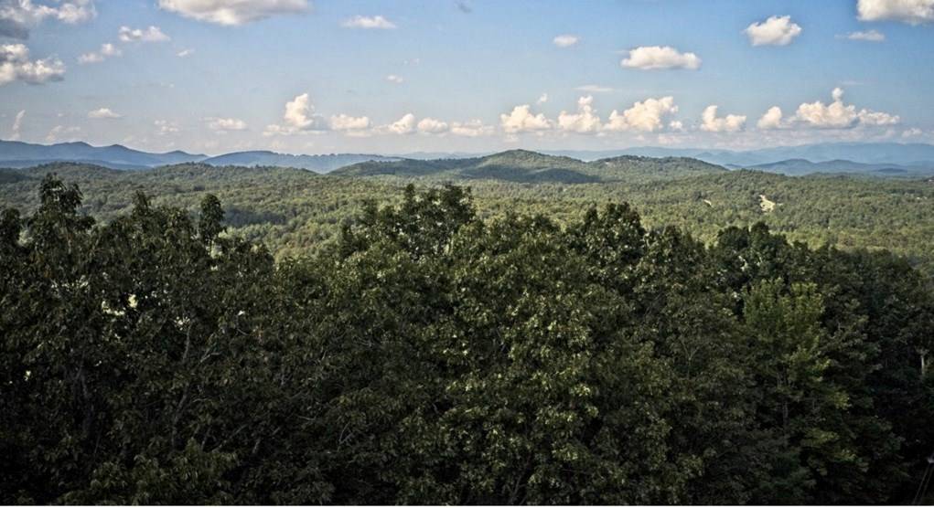 Morganton, GA 30560,6.51 High Country Lane