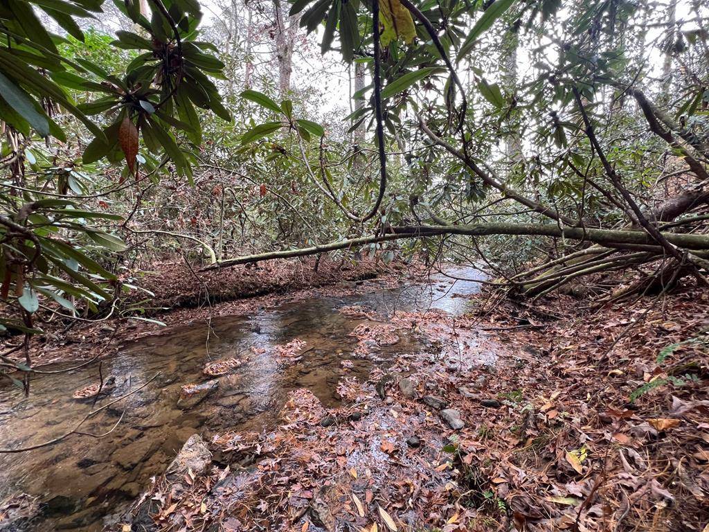 Morganton, GA 30560,lot 1 Hay Drive