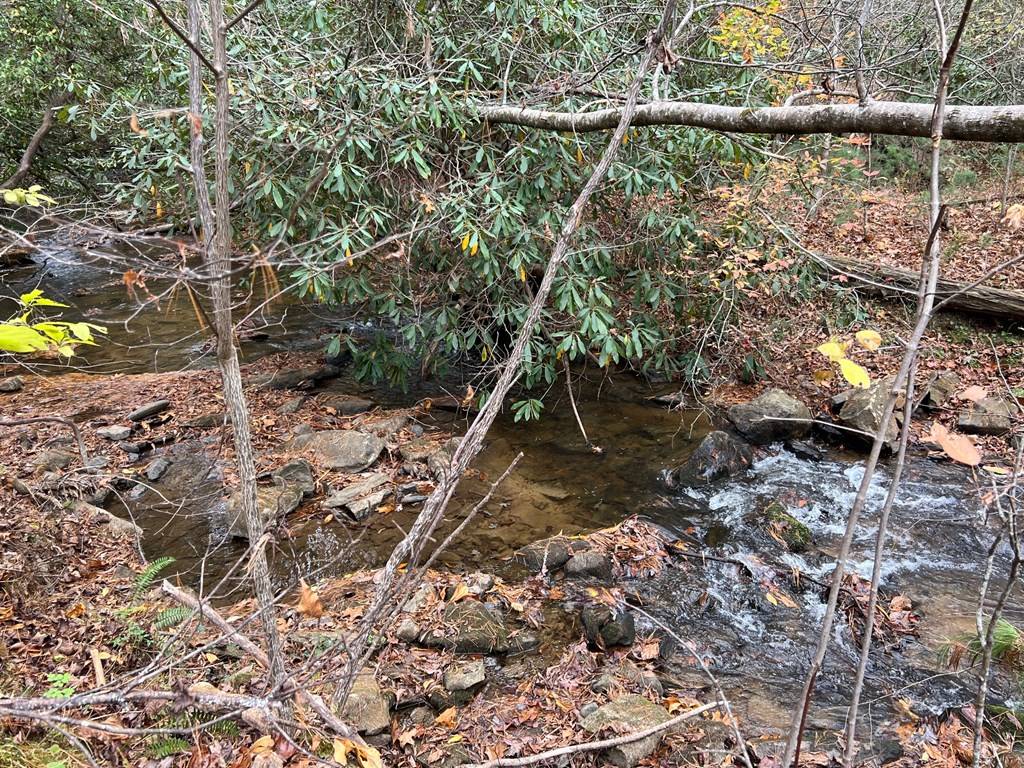 Morganton, GA 30560,lot 1 Hay Drive