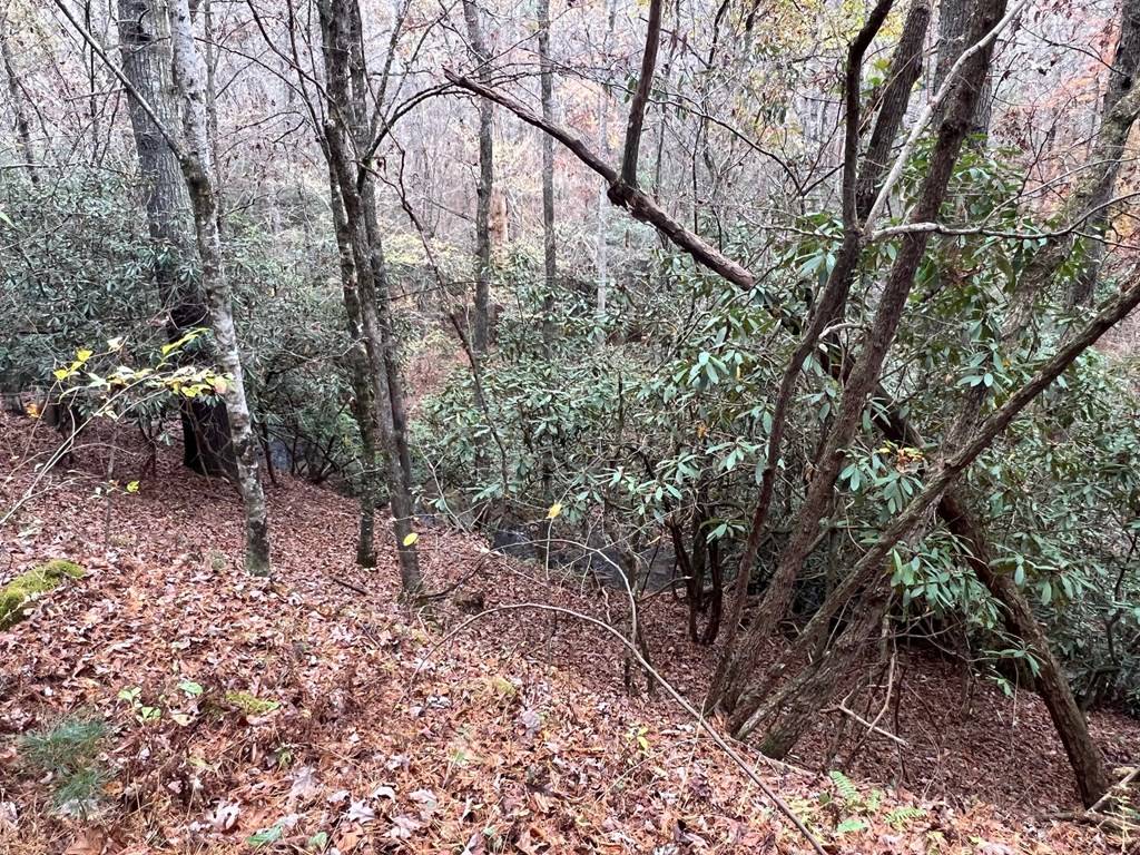 Morganton, GA 30560,lot 1 Hay Drive