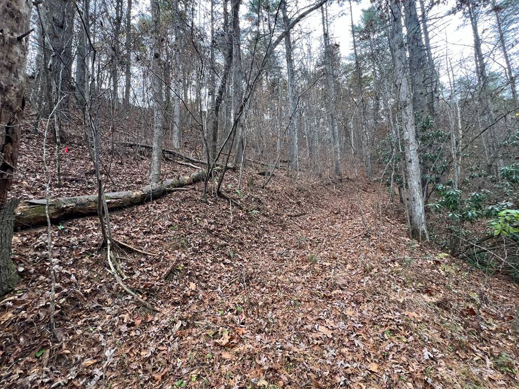 Morganton, GA 30560,lot 1 Hay Drive