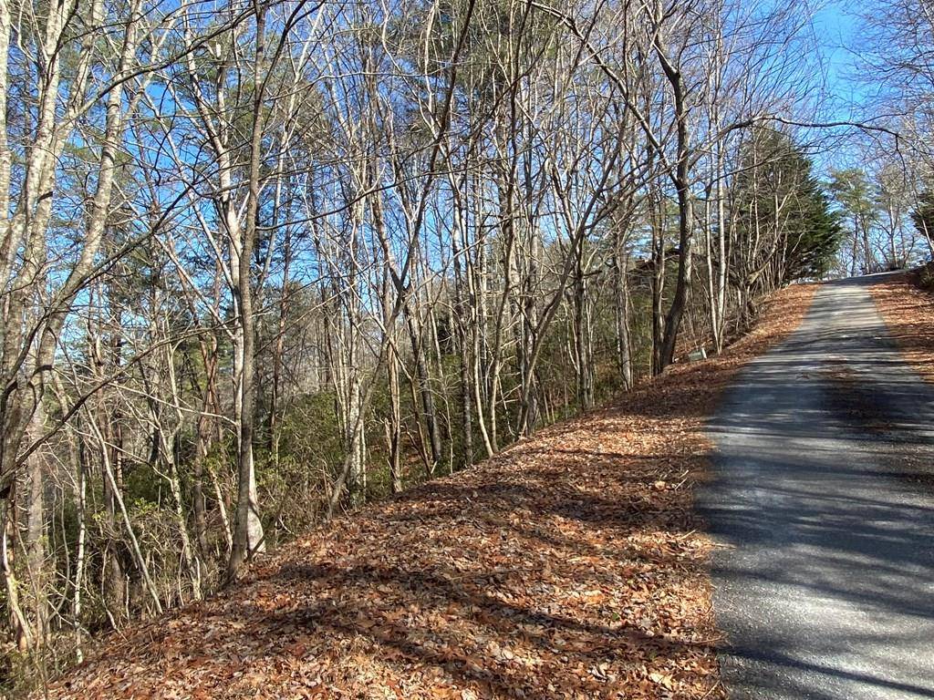 Murphy, NC 28906,Lot 16 Freedom Pass Drive