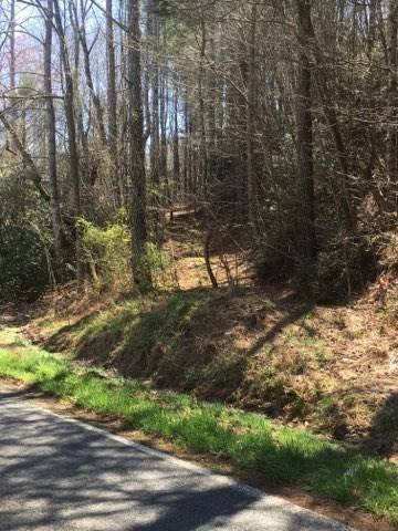 Murphy, NC 28906,00 Upper Bear Paw Road