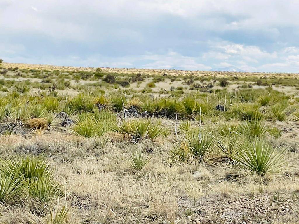 Walsenburg, CO 81089,Lot 239 Turkey Ridge Ranch