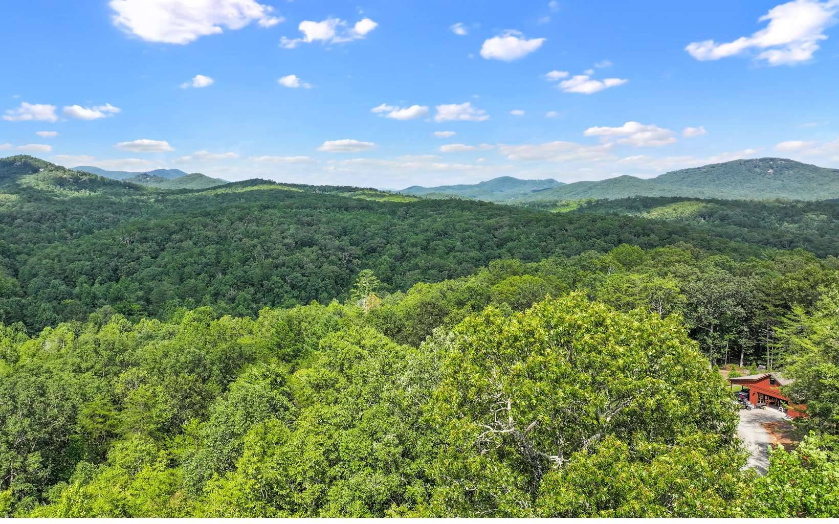 Mineral Bluff, GA 30559,0 North View Trail