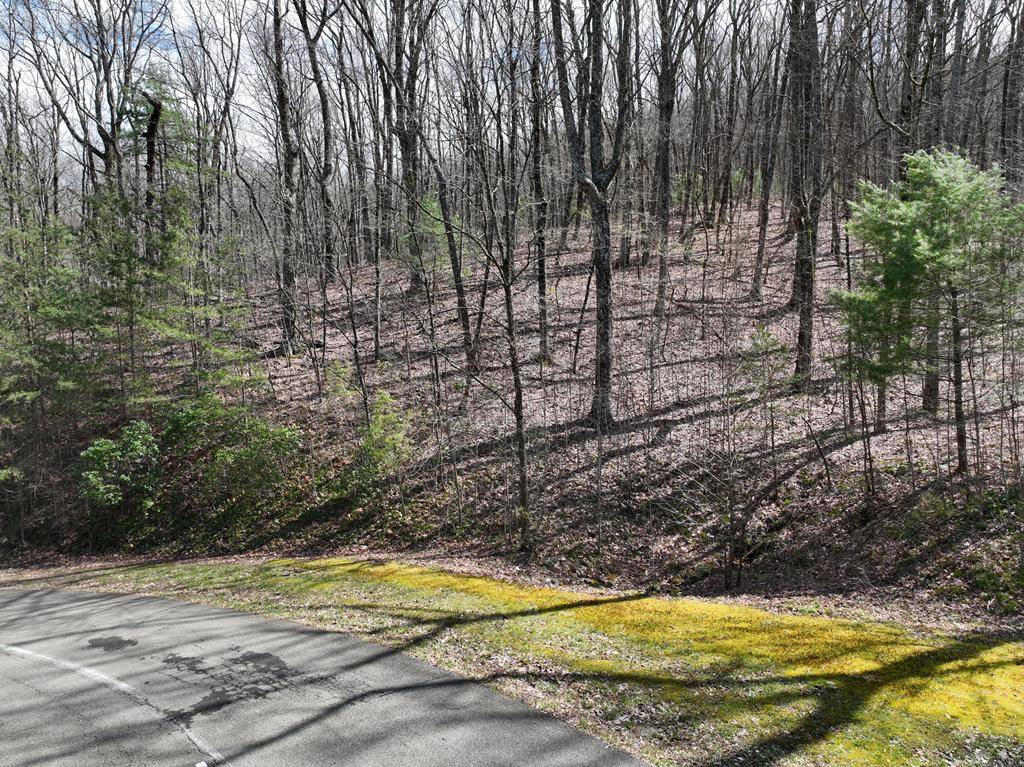 Ellijay, GA 30536,66 St Andrews Way
