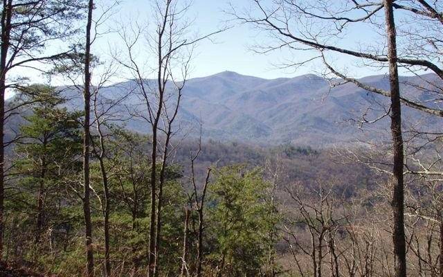 Hiawassee, GA 30546,LOT 2 Caesar Gap Road