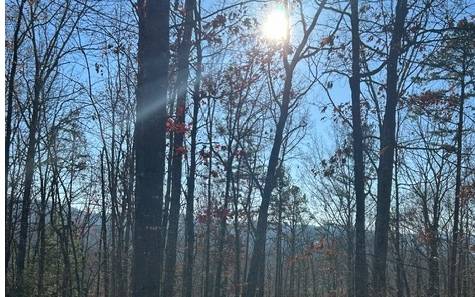 Morganton, GA 30560,LT 12 Spring Ridge Trail