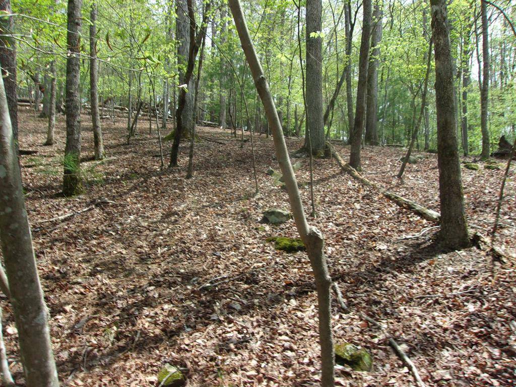 Ellijay, GA 30540,2090R Newport Dr (Lot)