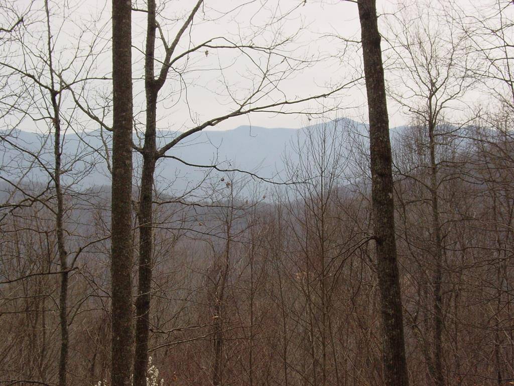 Young Harris, GA 30582,#28 Overlook Loop