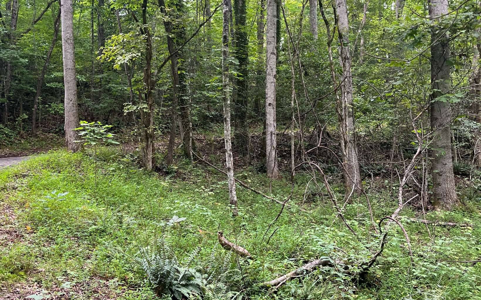 Hayesville, NC 28904,LOT 12 Kilpatrick Point Terrace