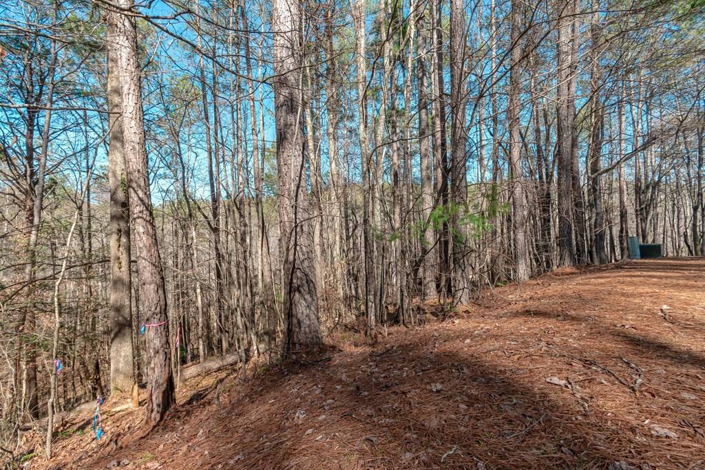 Talking Rock, GA 30175,Lot 52 Mountain Creek Hollow Drive