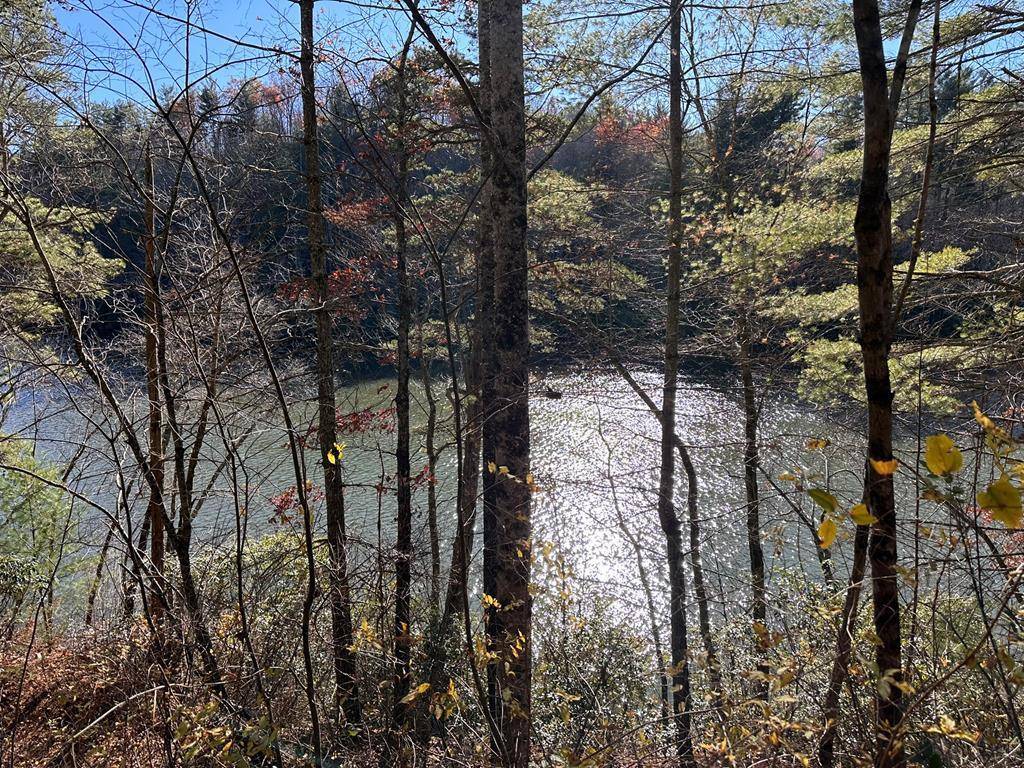 Hayesville, NC 29804,Lot 3 Mission Dam Overlook