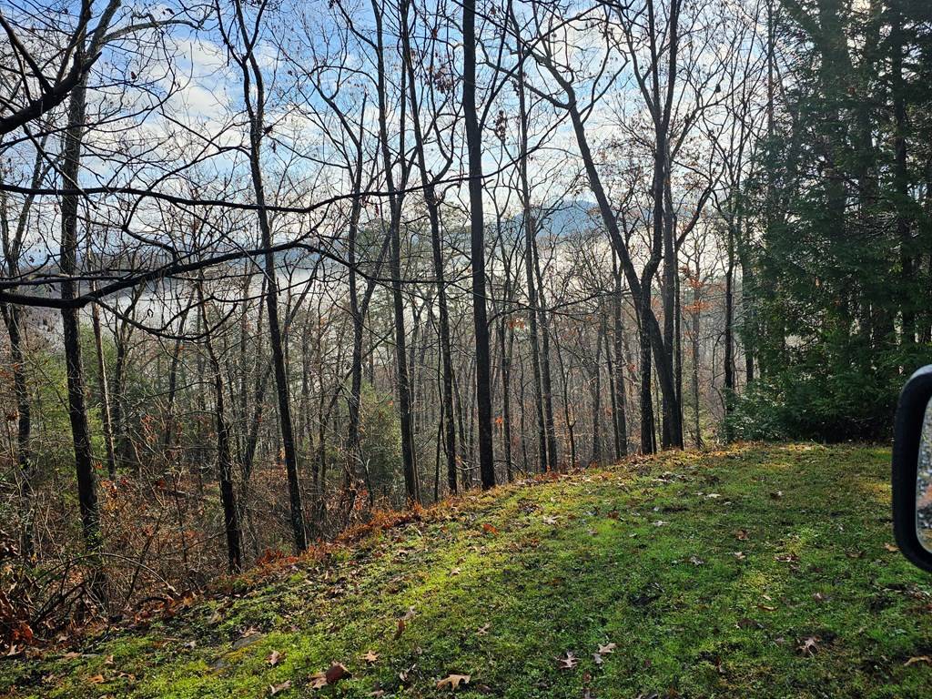 Murphy, NC 28906,Lot#22 Tyler Ridge