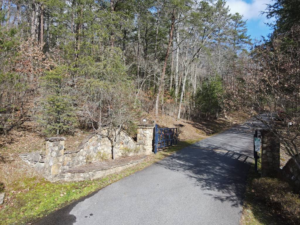 Morganton, GA 30560,LOT 1 Spring Ridge Drive