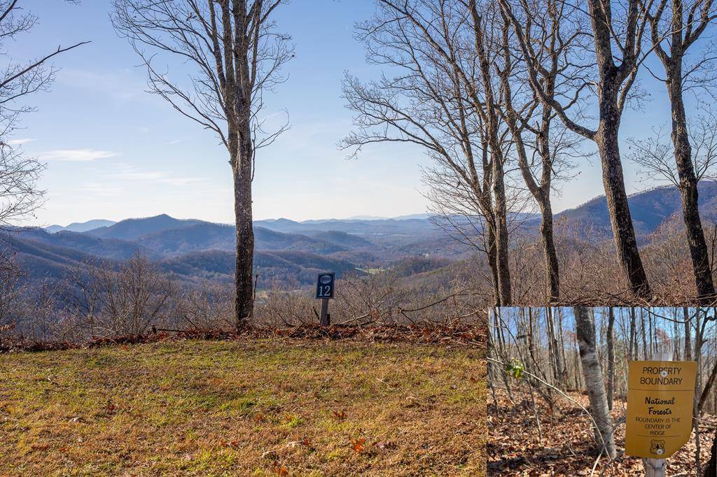 Hayesville, NC 28904,Lt 12/13 Skyview Drive