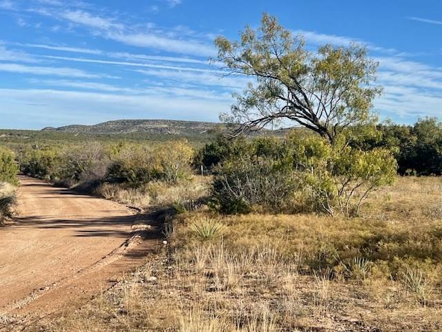 Robert Lee, TX 76945,00 Other