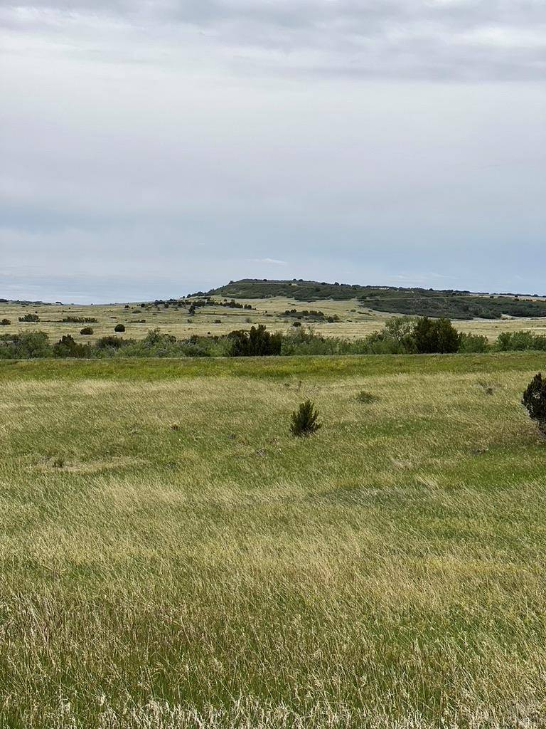 Colorado City, CO 81019,6268 Geronimo Rd