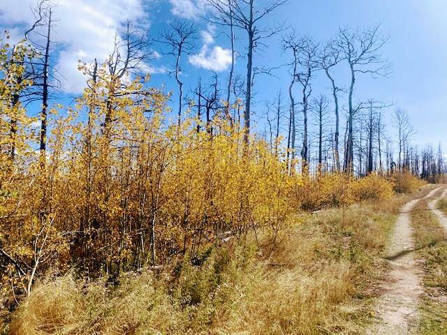 Fort Garland, CO 81133,000 Galbreth Rd