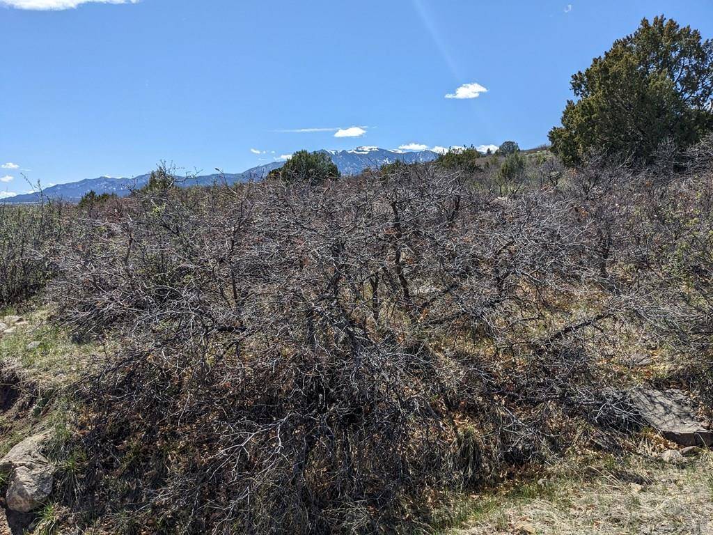 Colorado City, CO 81019,Lot 63 Base St