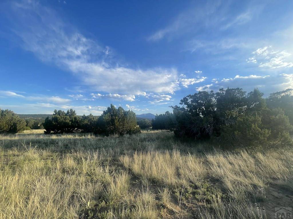 Walsenburg, CO 81089,L10 B7 Orlando's Way