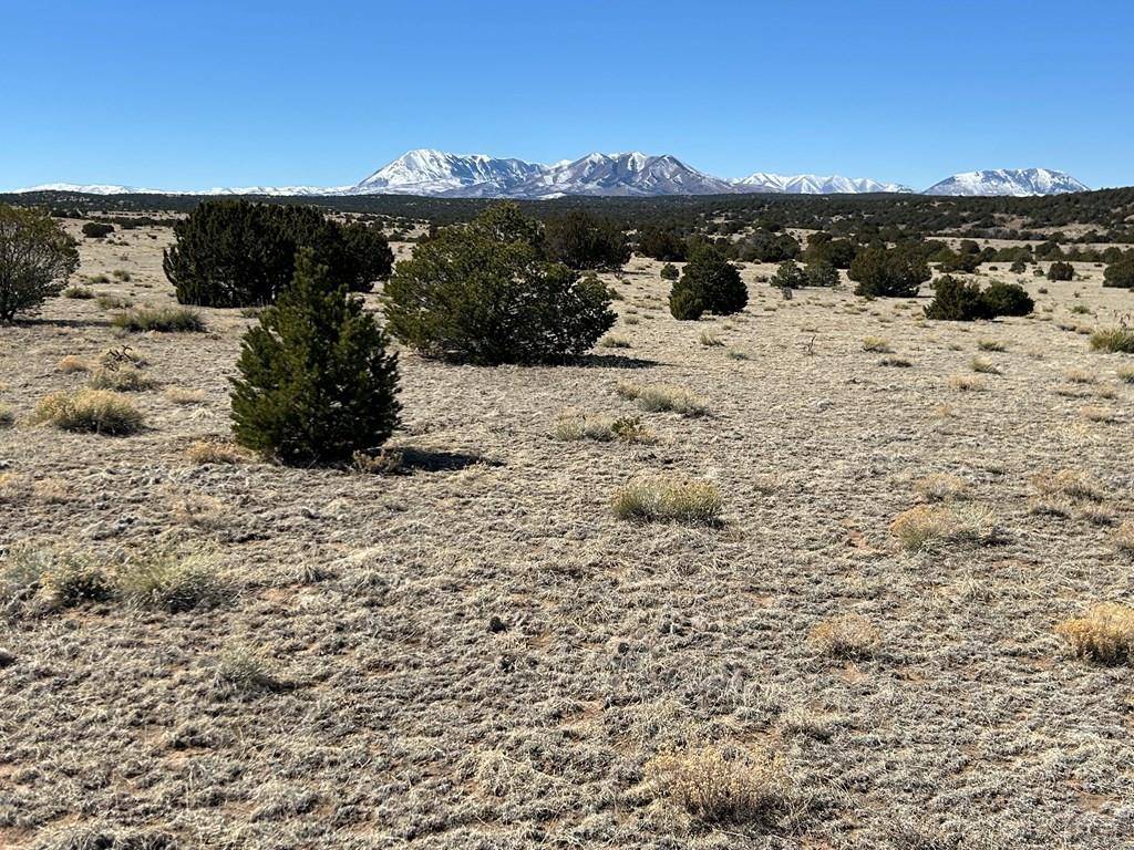 Walsenburg, CO 81089,lot 93 Twin Lakes Ranches