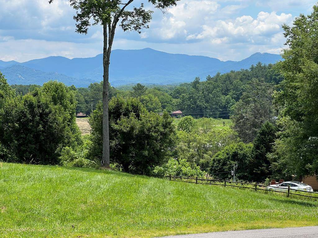 Hayesville, NC 28904,LOT 8 Cabin Drive