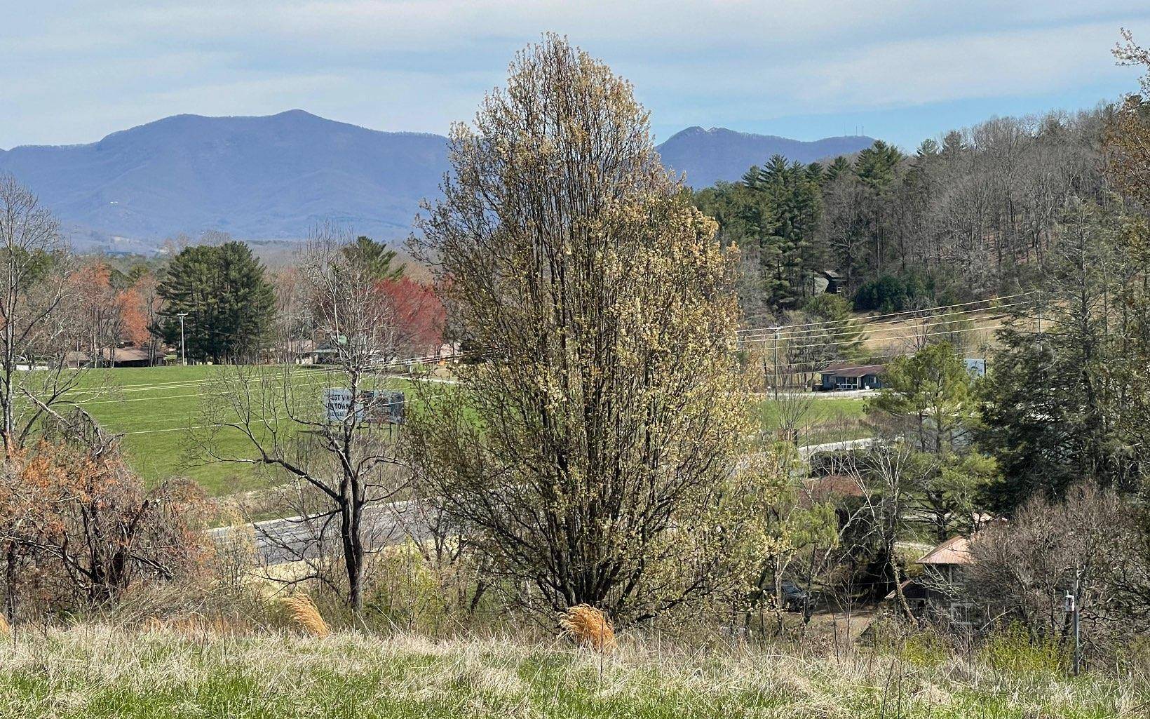 Hayesville, NC 28904,LOT 8 Cabin Drive