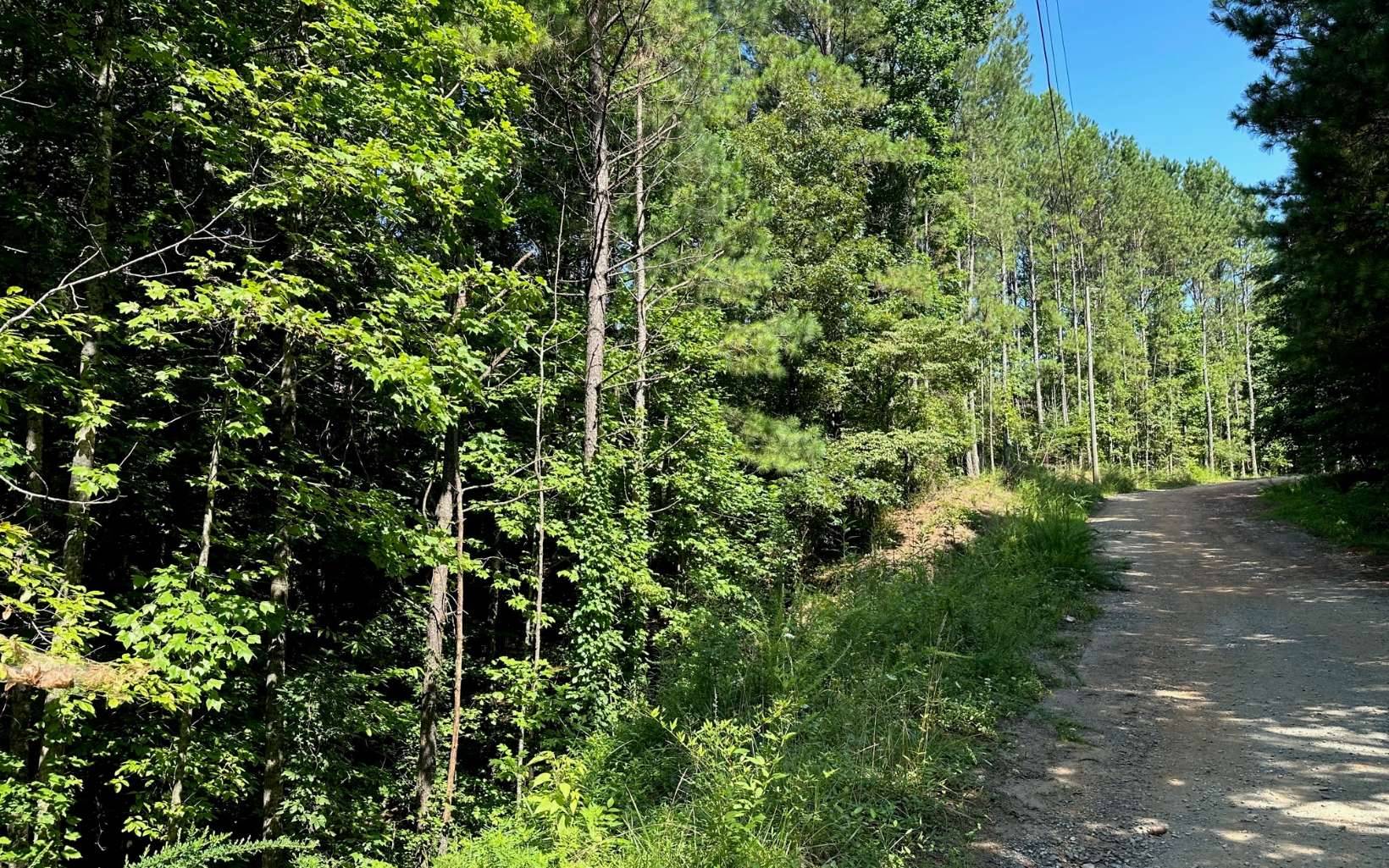 Talking Rock, GA 30175,Whitestone Drive