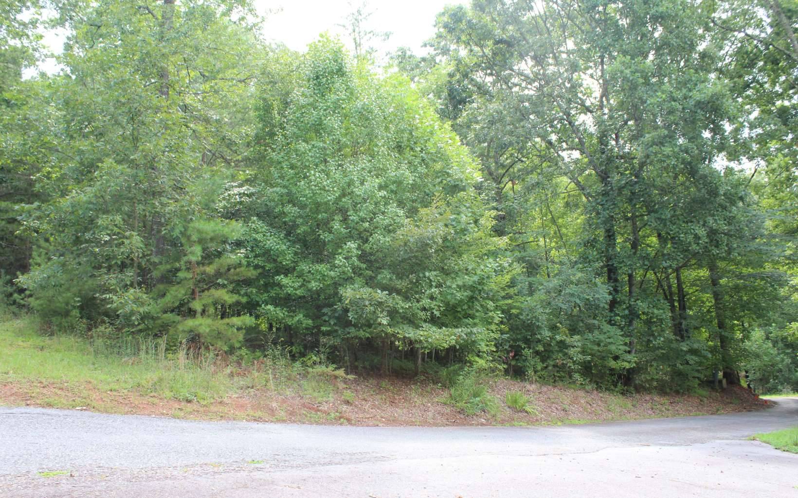 Hayesville, NC 28904,LT 12 Downings Place