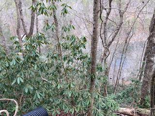 Ellijay, GA 30540,00 Fugue Drive