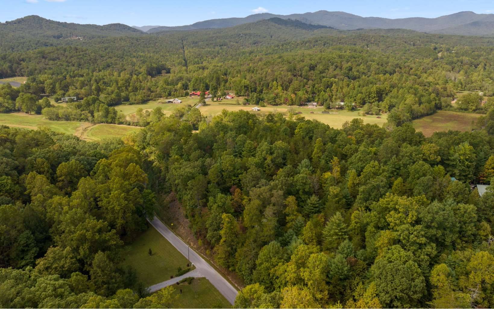 Mineral Bluff, GA 30559,1.34 Laurel Springs Road