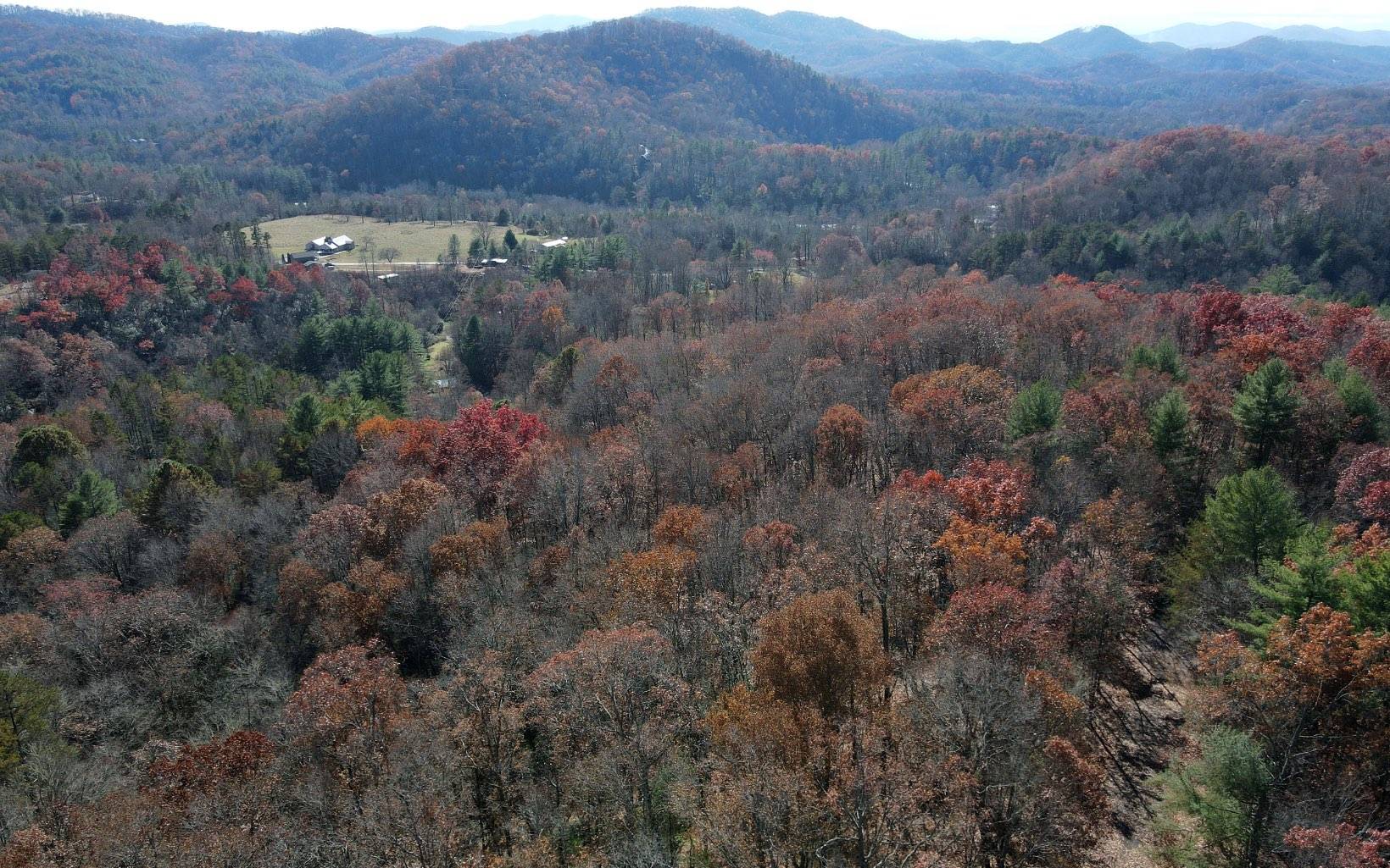 Hayesville, NC 28904,TBD Robinson Lane